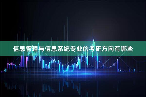 信息管理与信息系统专业的考研方向有哪些