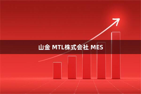 山金 MTL株式会社 MES