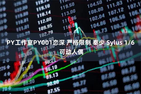 PY工作室PY001恋深 严格限制 秦少 Sylus 1/6 可动人偶