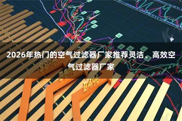 2026年热门的空气过滤器厂家推荐灵洁、高效空气过滤器厂家