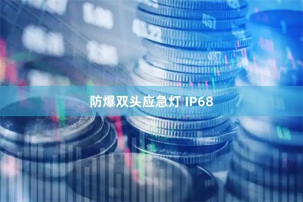 防爆双头应急灯 IP68