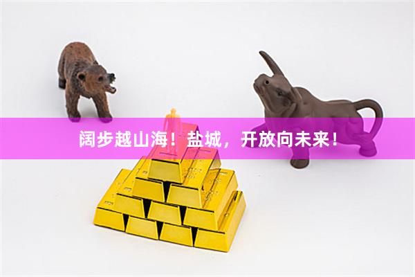 阔步越山海！盐城，开放向未来！