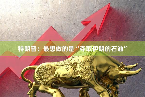 特朗普：最想做的是“夺取伊朗的石油”