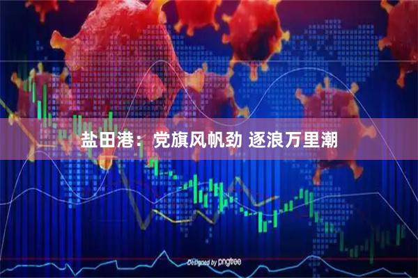 盐田港：党旗风帆劲 逐浪万里潮
