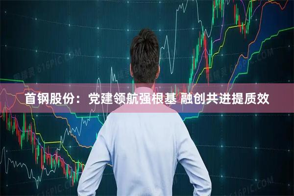 首钢股份：党建领航强根基 融创共进提质效