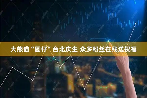 大熊猫“圆仔”台北庆生 众多粉丝在线送祝福