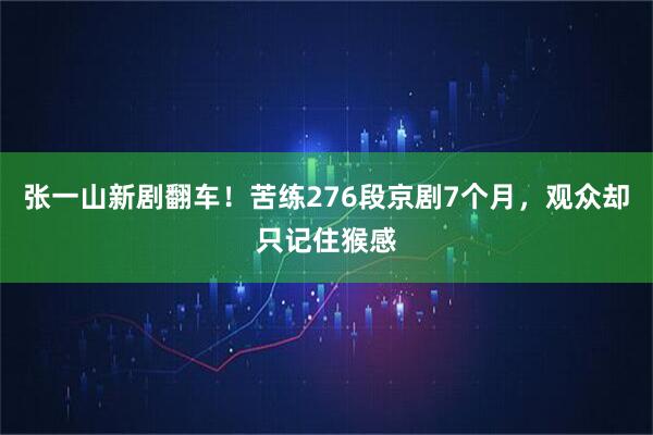 张一山新剧翻车！苦练276段京剧7个月，观众却只记住猴感